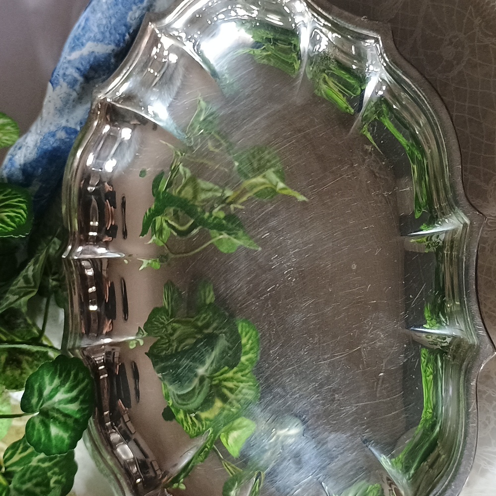 Fischer Evans Jewelers Green Label